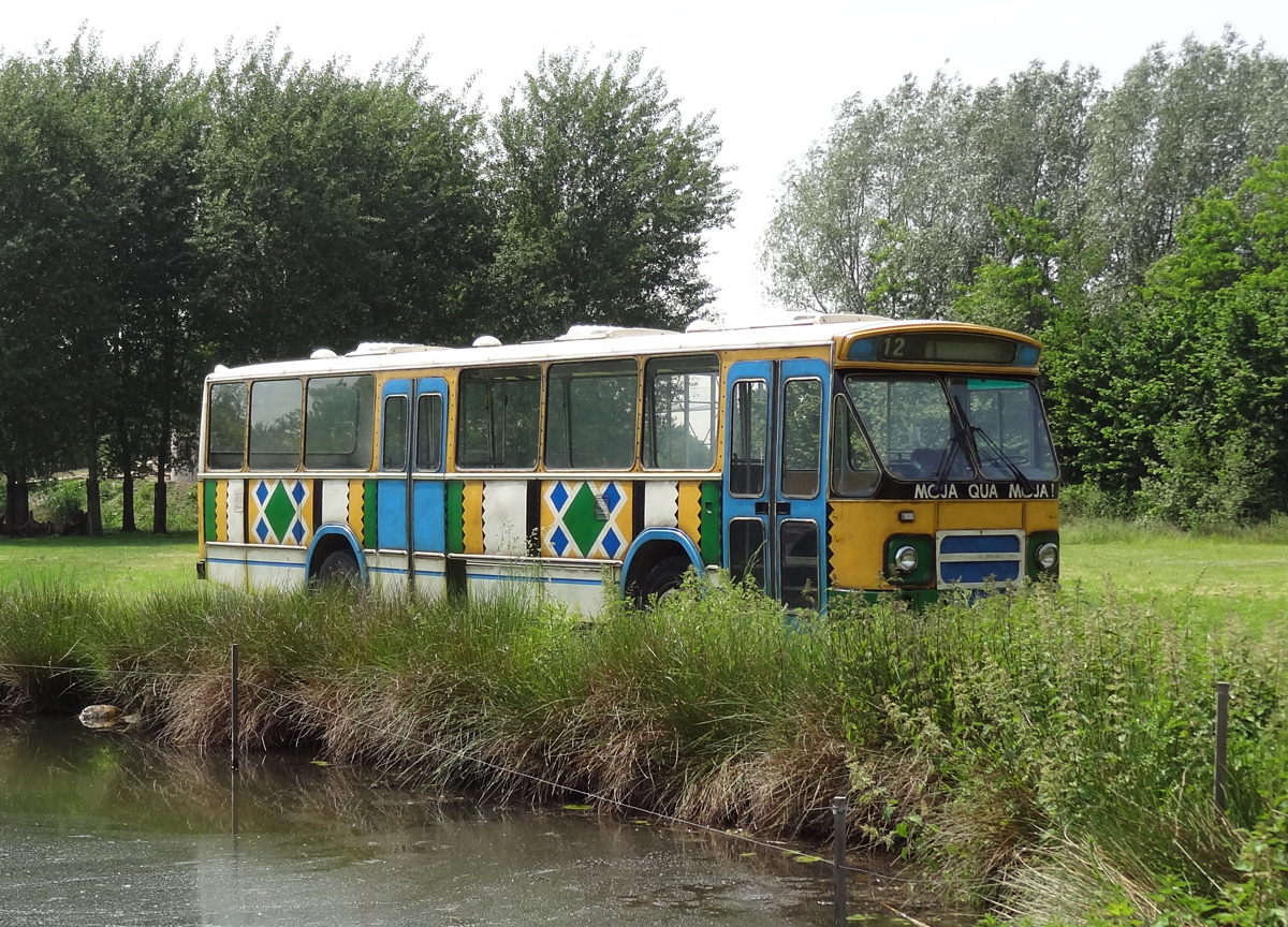 bus giraffenvlakte zooparc overloon